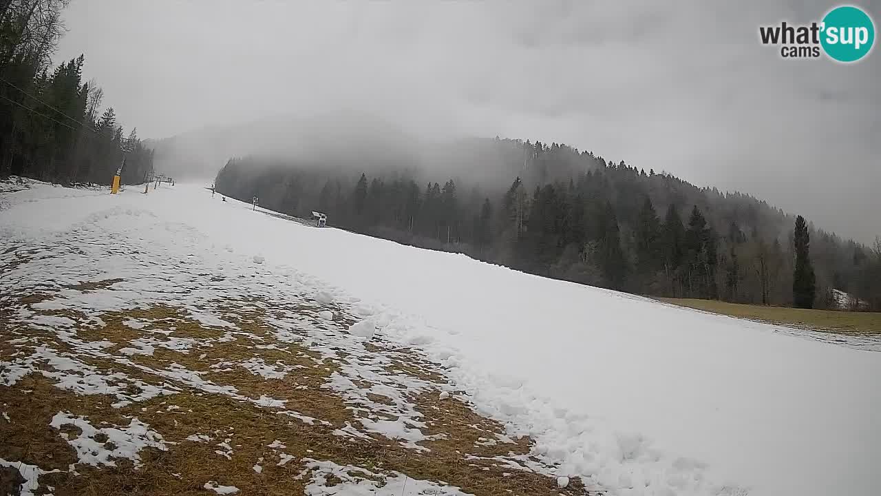 Comprensorio sciistico Kranjska Gora | Brsnina