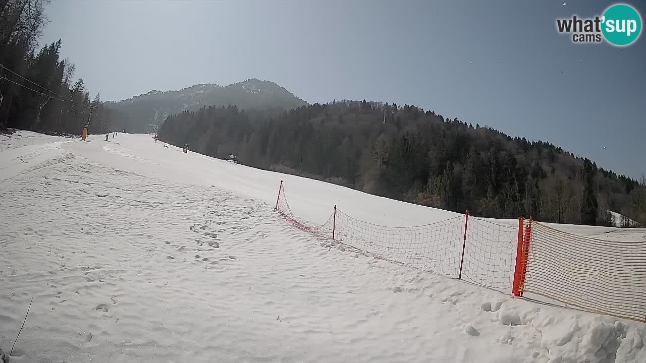 Kranjska Gora SKIJANJE | Brsnina