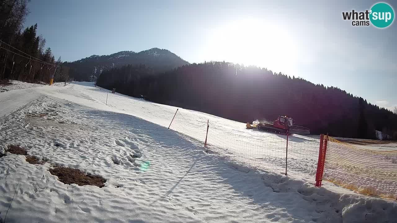 Kranjska Gora SKIJANJE | Brsnina