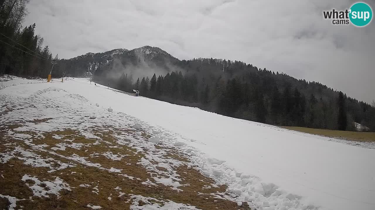 Esquí Kranjska Gora | Brsnina