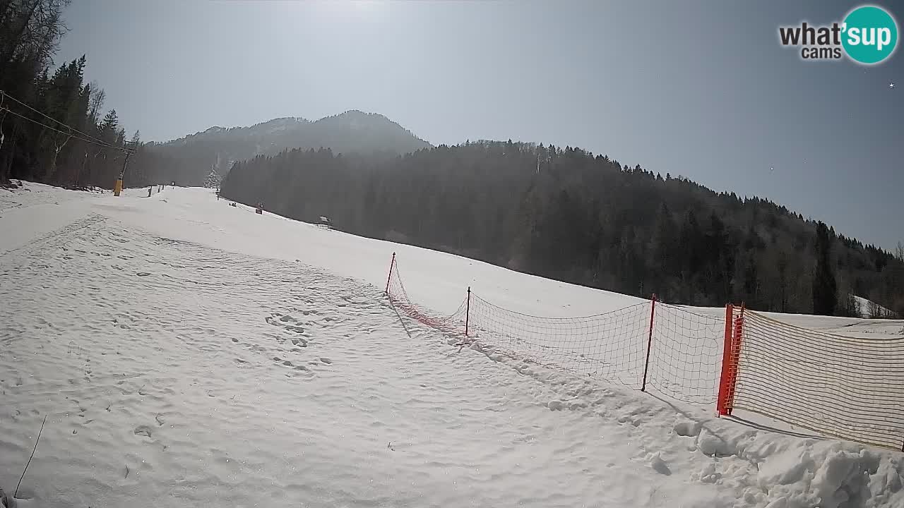 Kranjska Gora Station de ski | Brsnina