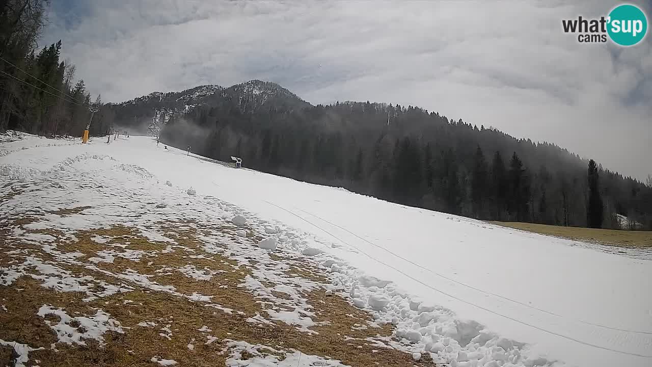 RTC Kranjska Gora | Brsnina