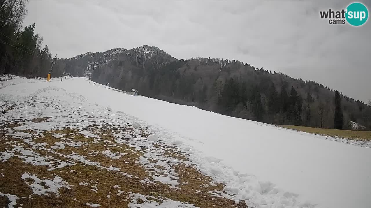 Esquí Kranjska Gora | Brsnina