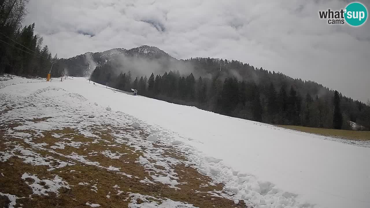 Kranjska Gora SKIJANJE | Brsnina