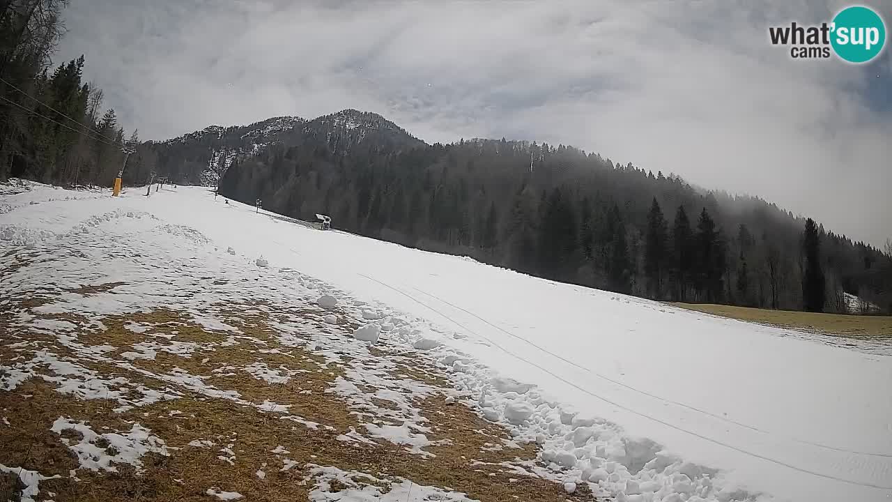 Kranjska Gora SKIJANJE | Brsnina