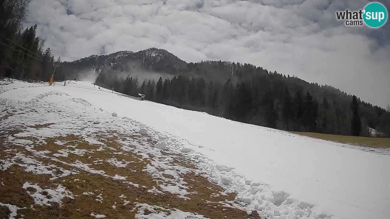 RTC Skigebiet Kranjska Gora | Brsnina
