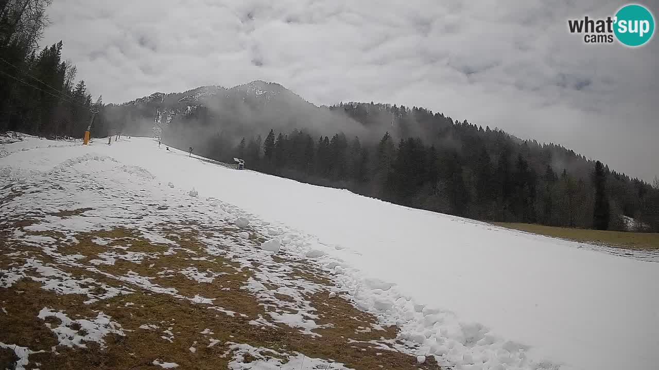 RTC Kranjska Gora | Brsnina