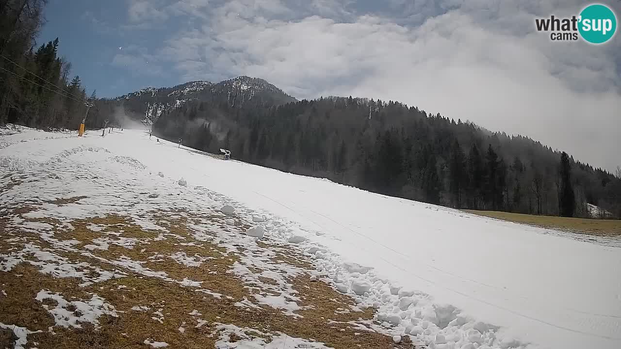 Kranjska Gora Station de ski | Brsnina