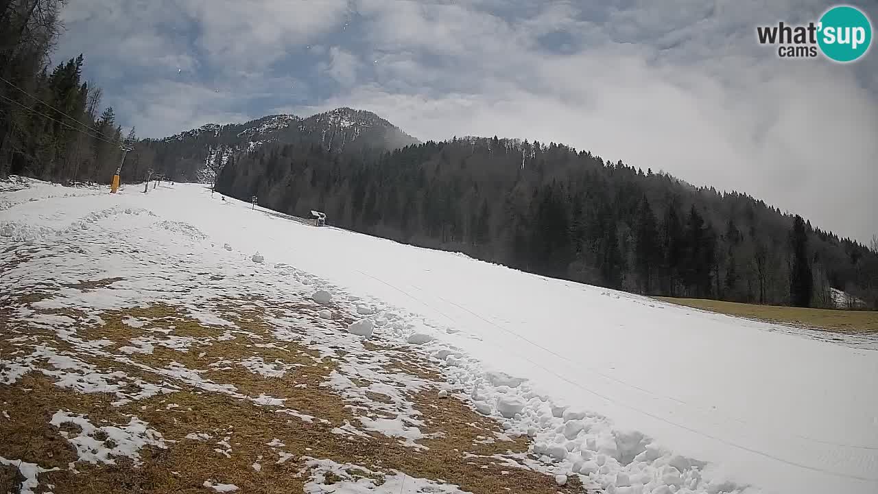 Esquí Kranjska Gora | Brsnina