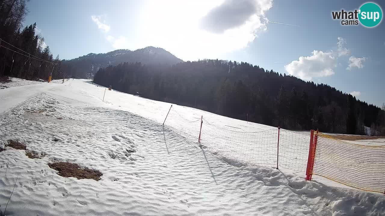 RTC Skigebiet Kranjska Gora | Brsnina