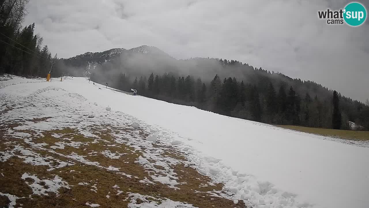 Esquí Kranjska Gora | Brsnina