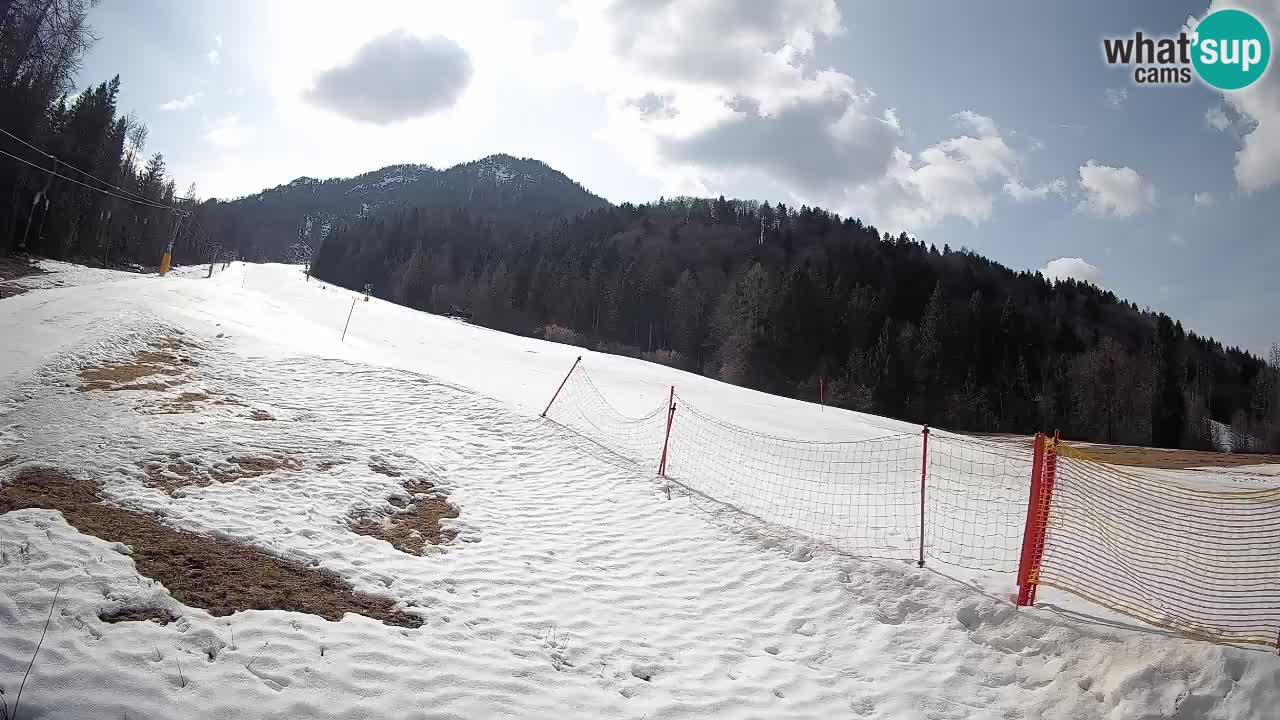 Kranjska Gora Station de ski | Brsnina