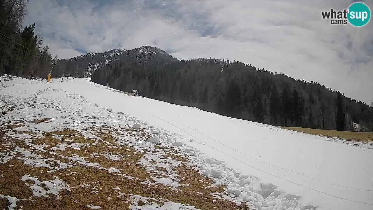 RTC Skigebiet Kranjska Gora | Brsnina