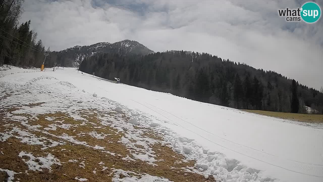 Kranjska Gora Station de ski | Brsnina