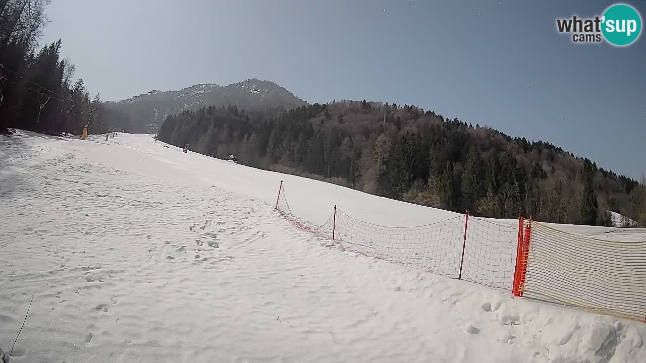 RTC Kranjska Gora | Brsnina