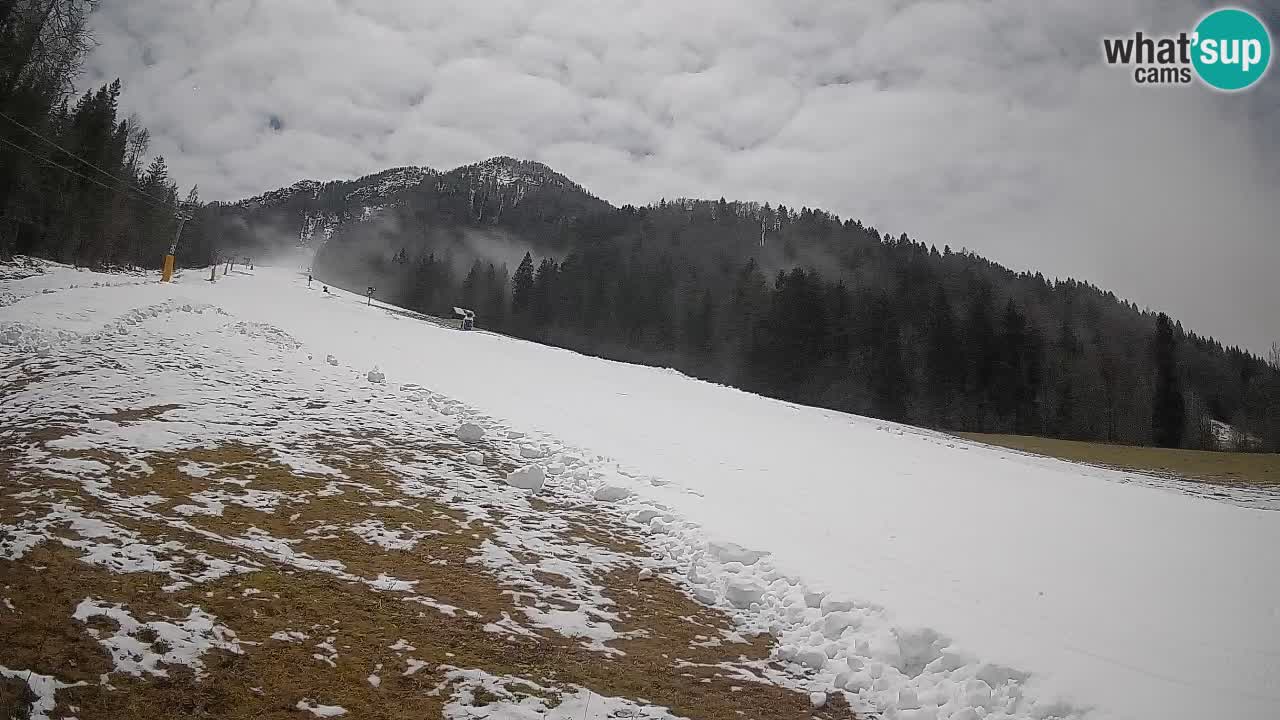 Comprensorio sciistico Kranjska Gora | Brsnina