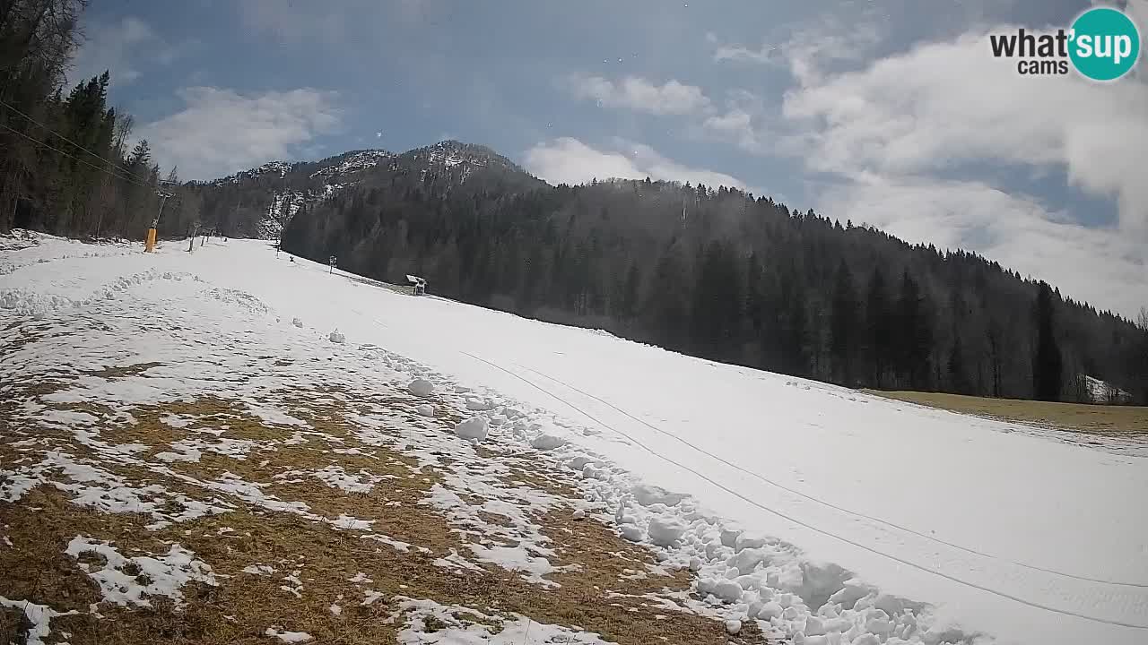 RTC Skigebiet Kranjska Gora | Brsnina