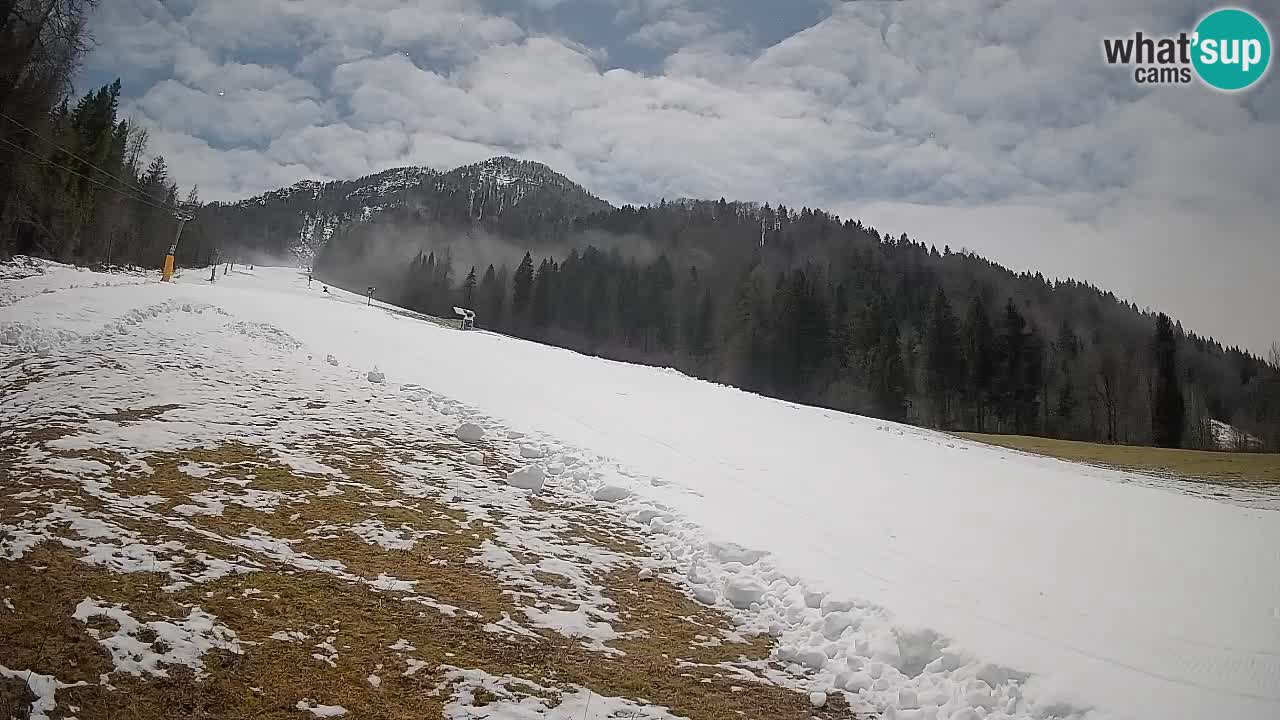 Ski Kranjska Gora | Brsnina