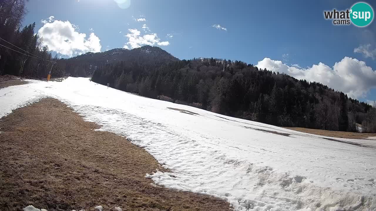 Kranjska Gora Station de ski | Brsnina