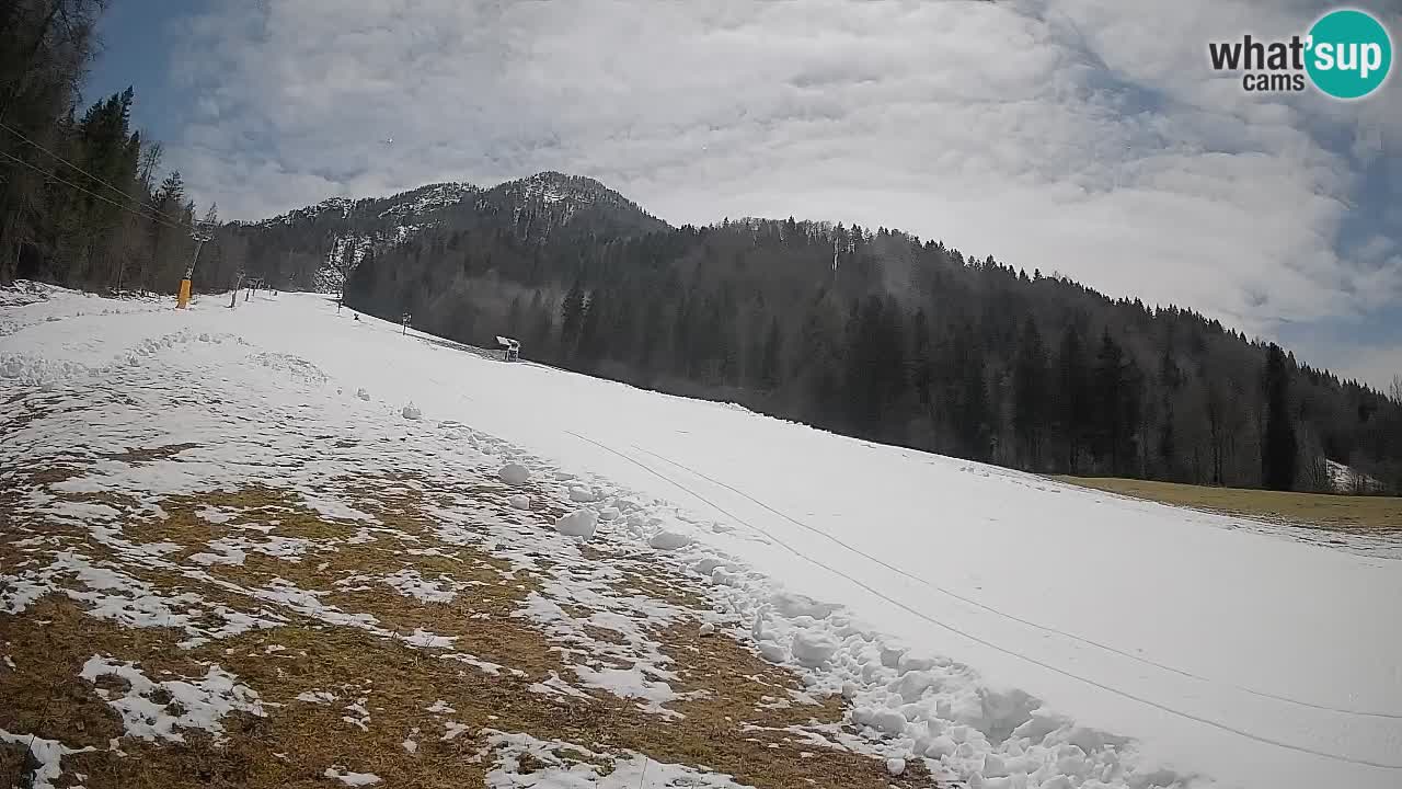 Esquí Kranjska Gora | Brsnina