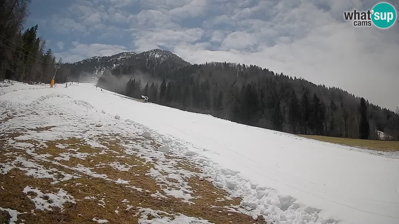 Kranjska Gora Station de ski | Brsnina