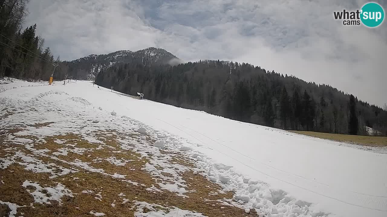 RTC Skigebiet Kranjska Gora | Brsnina