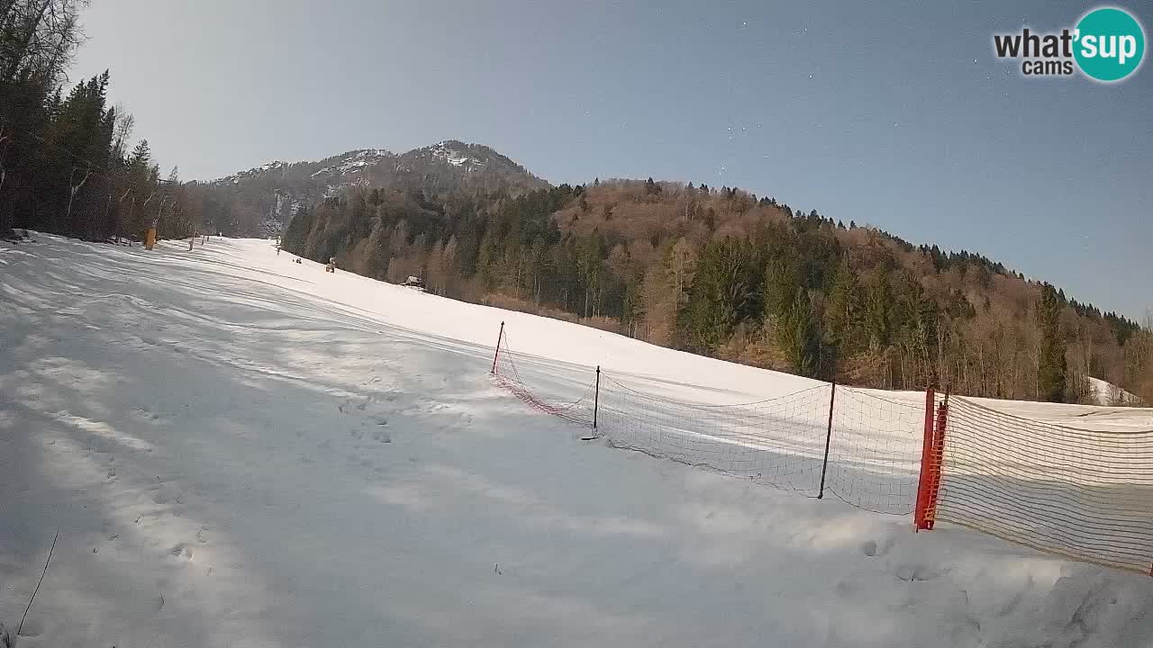 Comprensorio sciistico Kranjska Gora | Brsnina