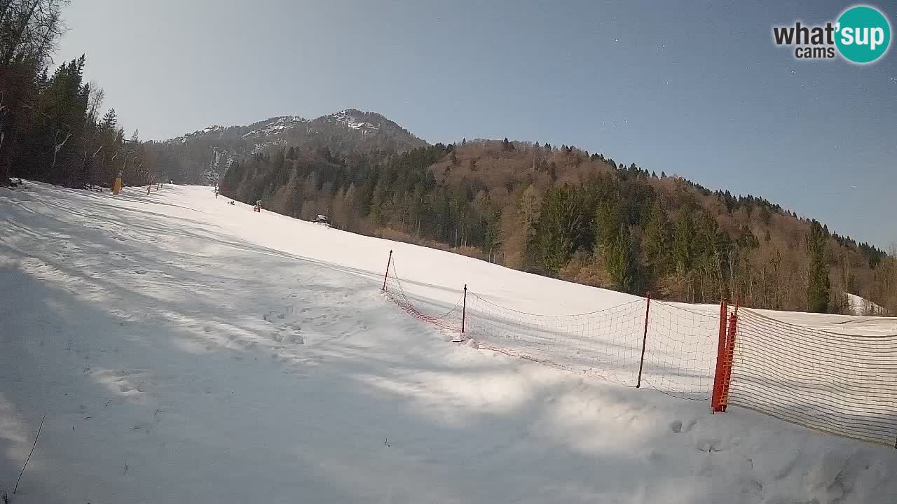 Ski Kranjska Gora | Brsnina