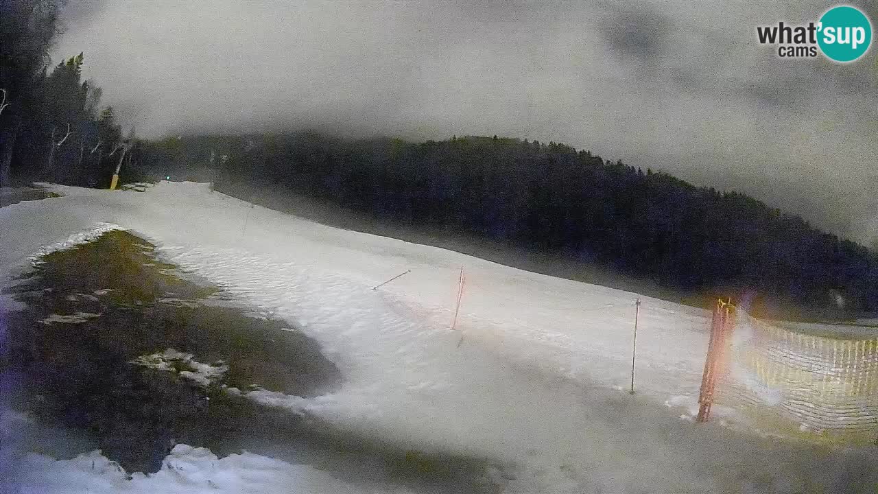 Ski Kranjska Gora | Brsnina