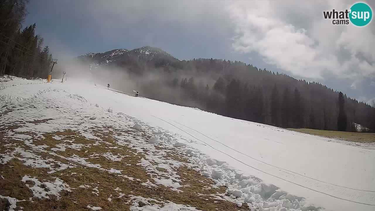 Comprensorio sciistico Kranjska Gora | Brsnina