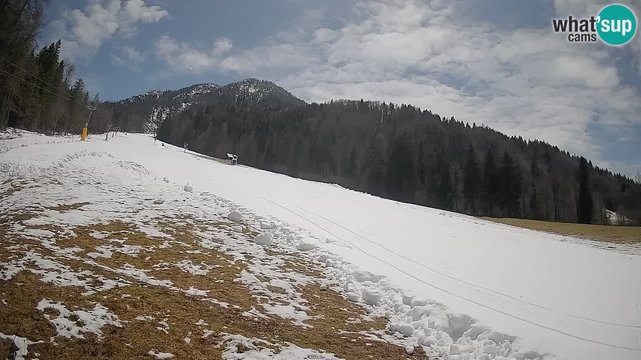 Ski Kranjska Gora | Brsnina