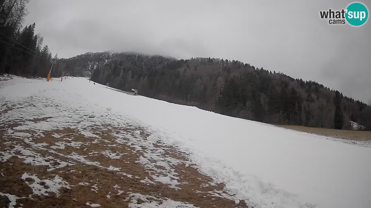 Kranjska Gora Station de ski | Brsnina