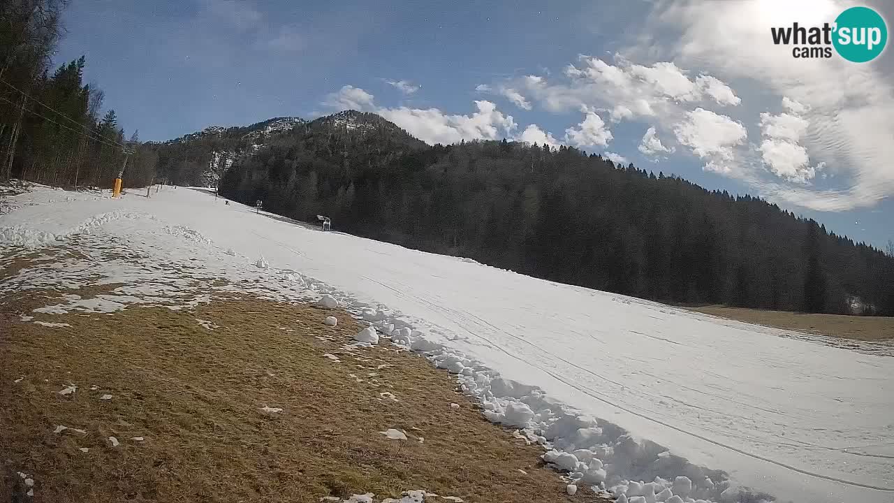RTC Kranjska Gora | Brsnina