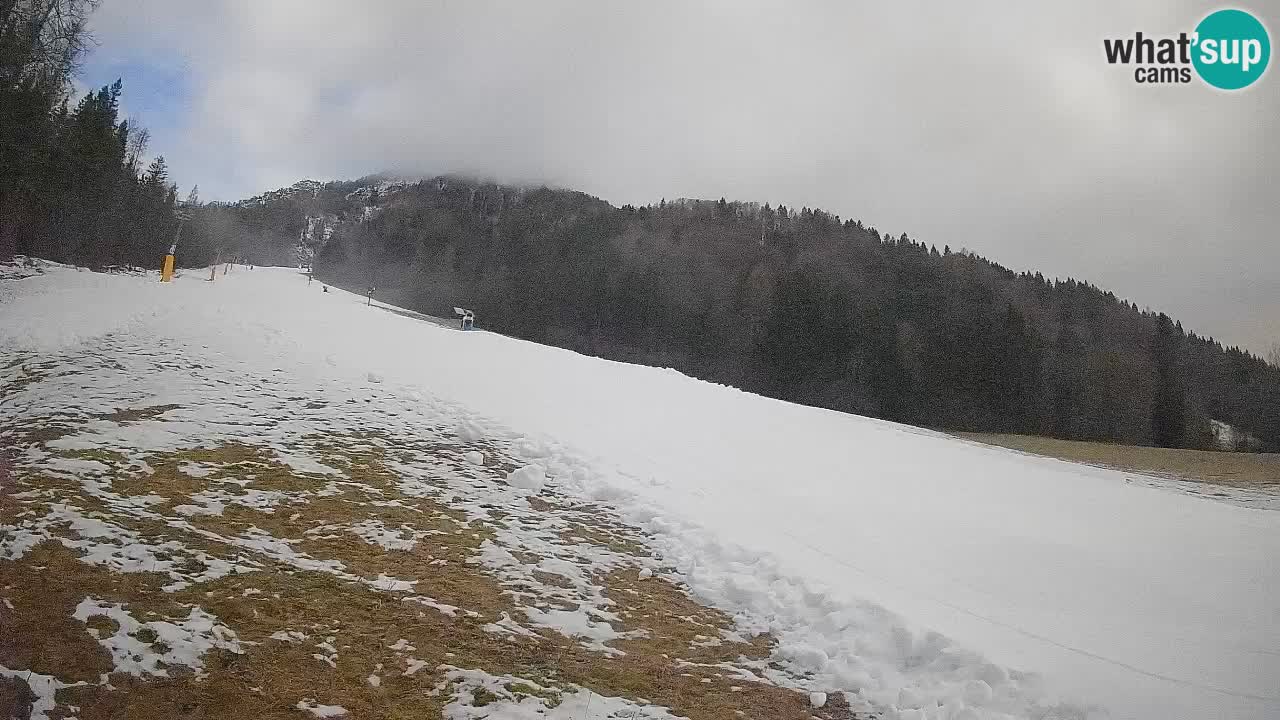 RTC Skigebiet Kranjska Gora | Brsnina