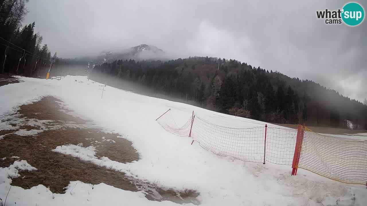 RTC Skigebiet Kranjska Gora | Brsnina