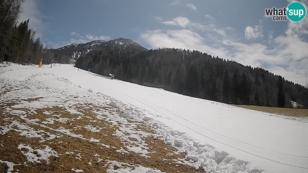 Kranjska Gora Station de ski | Brsnina