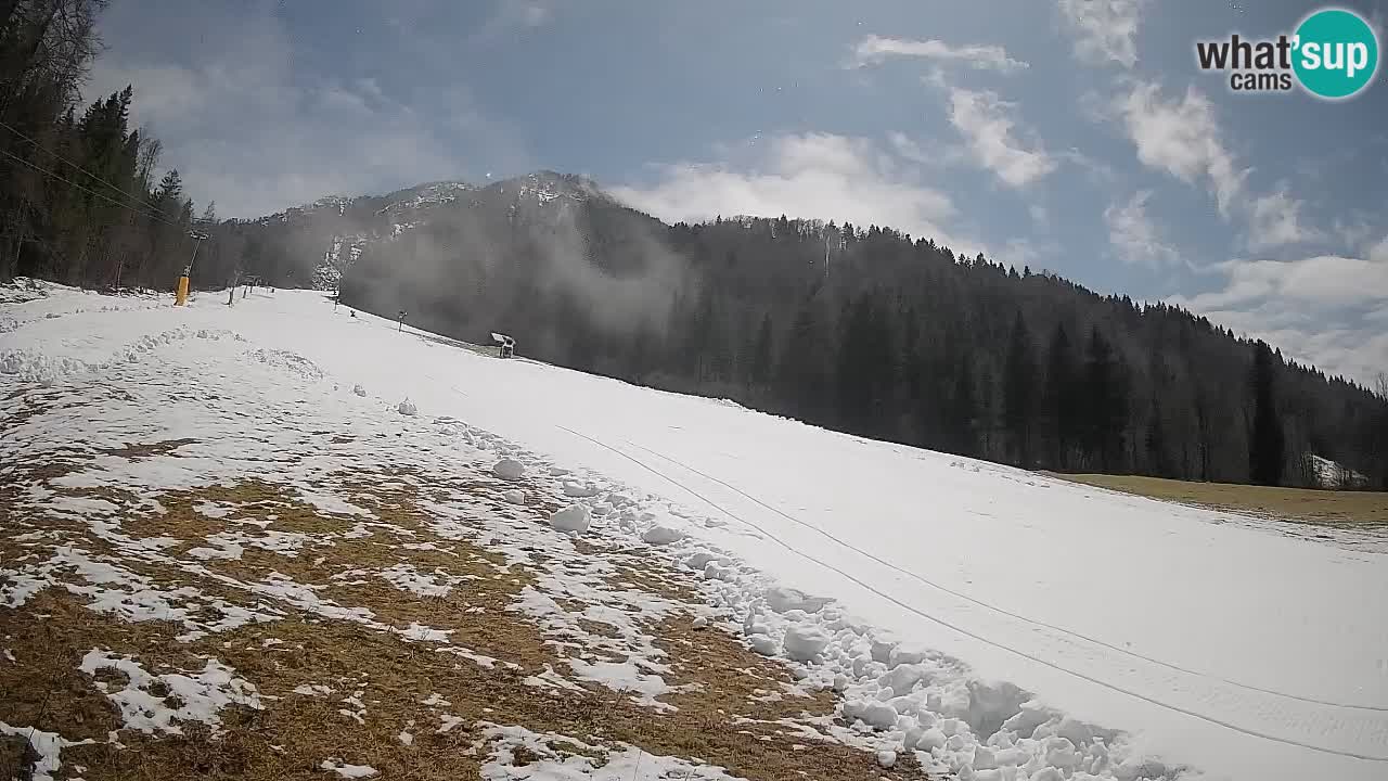 Ski Kranjska Gora | Brsnina