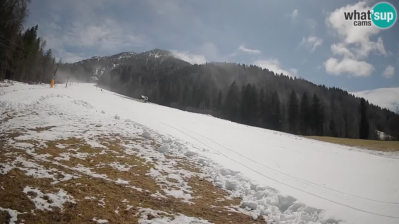Kranjska Gora SKIJANJE | Brsnina