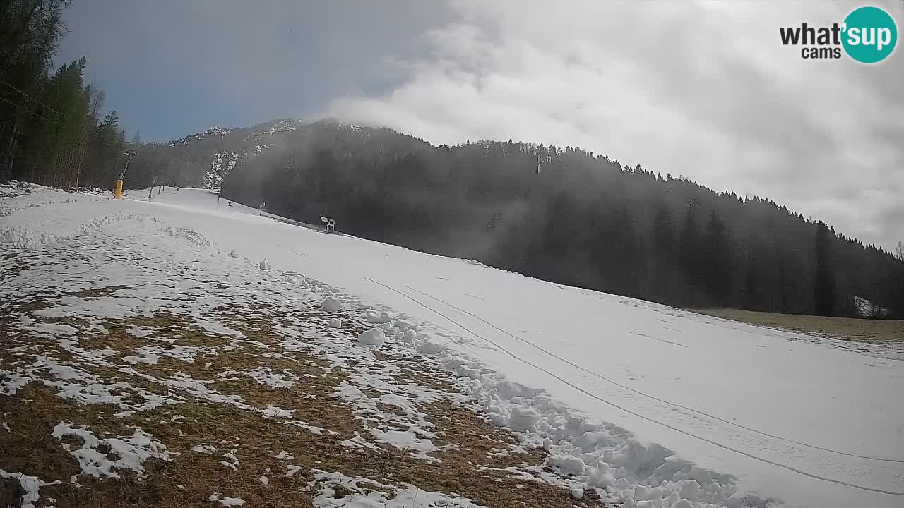 Ski Kranjska Gora | Brsnina