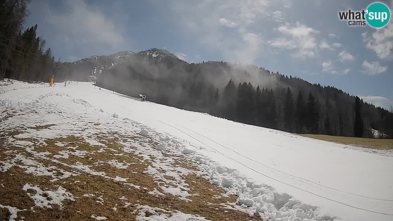 Ski Kranjska Gora | Brsnina