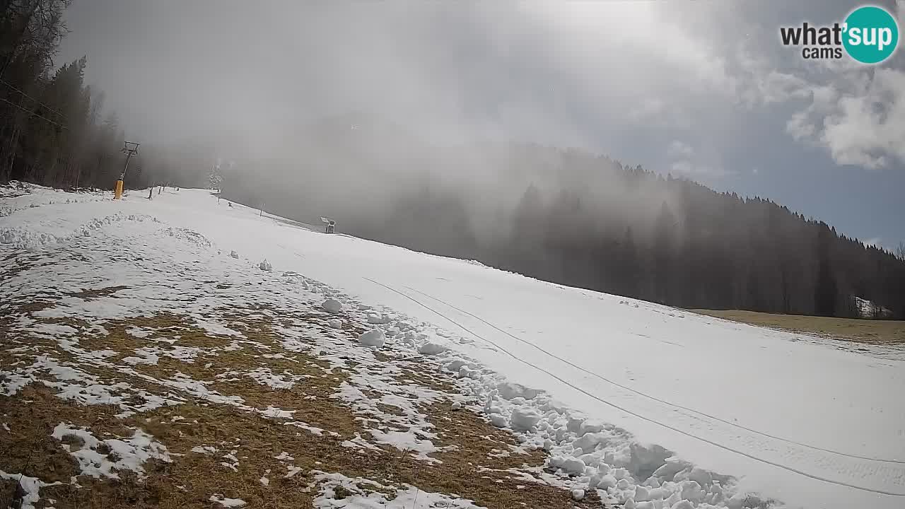 Ski Kranjska Gora | Brsnina