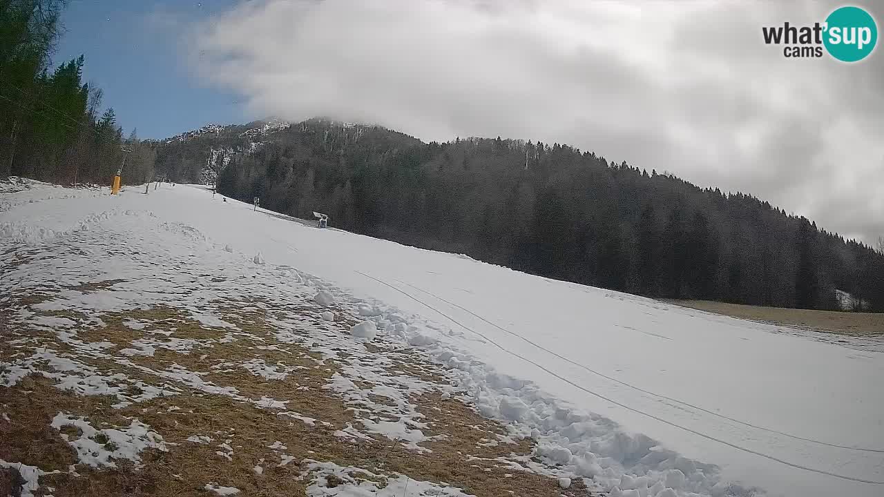 Kranjska Gora Station de ski | Brsnina