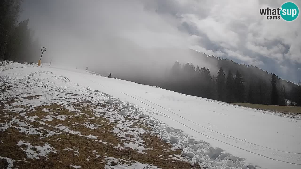 Comprensorio sciistico Kranjska Gora | Brsnina