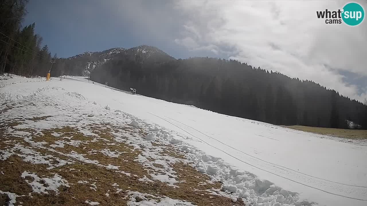 Ski Kranjska Gora | Brsnina