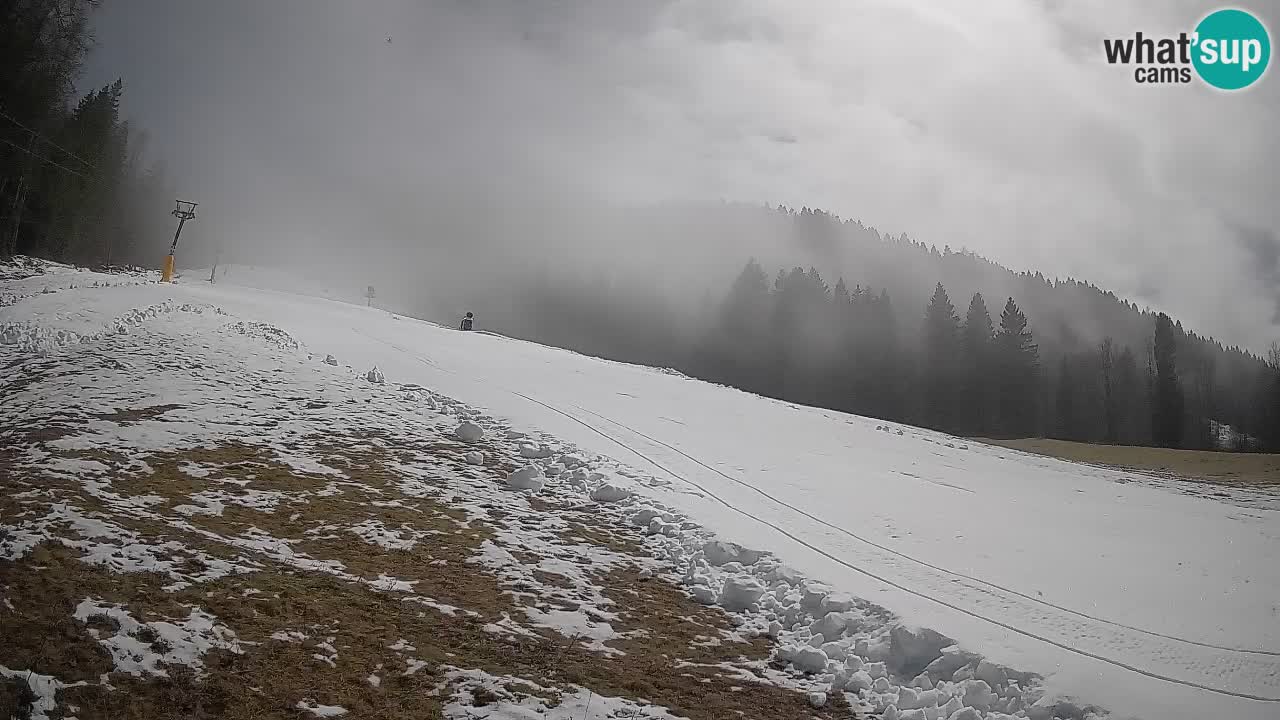 Comprensorio sciistico Kranjska Gora | Brsnina