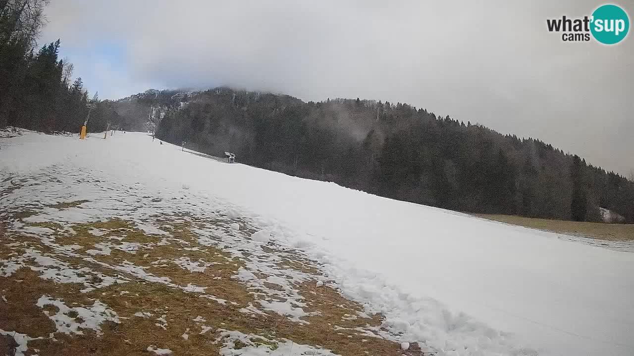 Kranjska Gora SKIJANJE | Brsnina