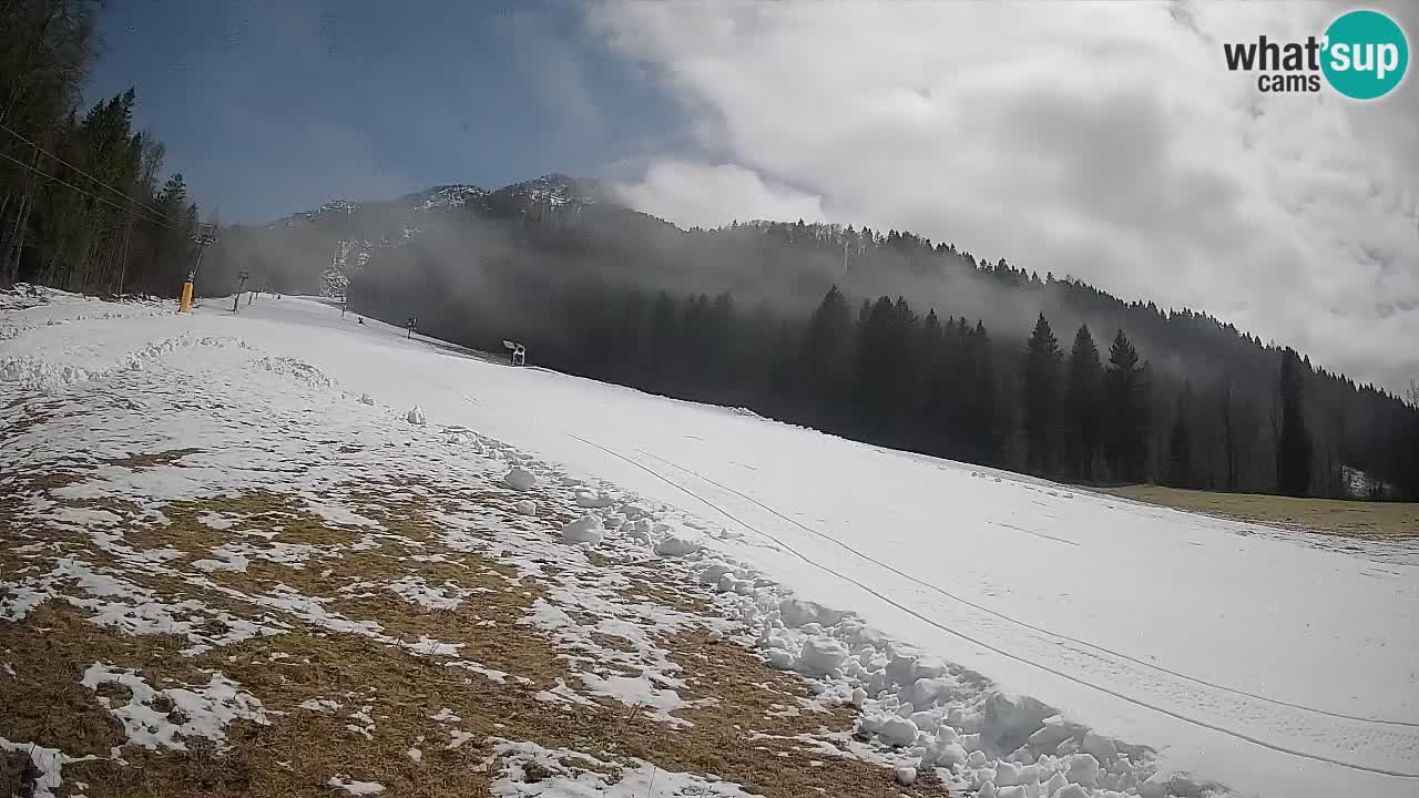 Esquí Kranjska Gora | Brsnina