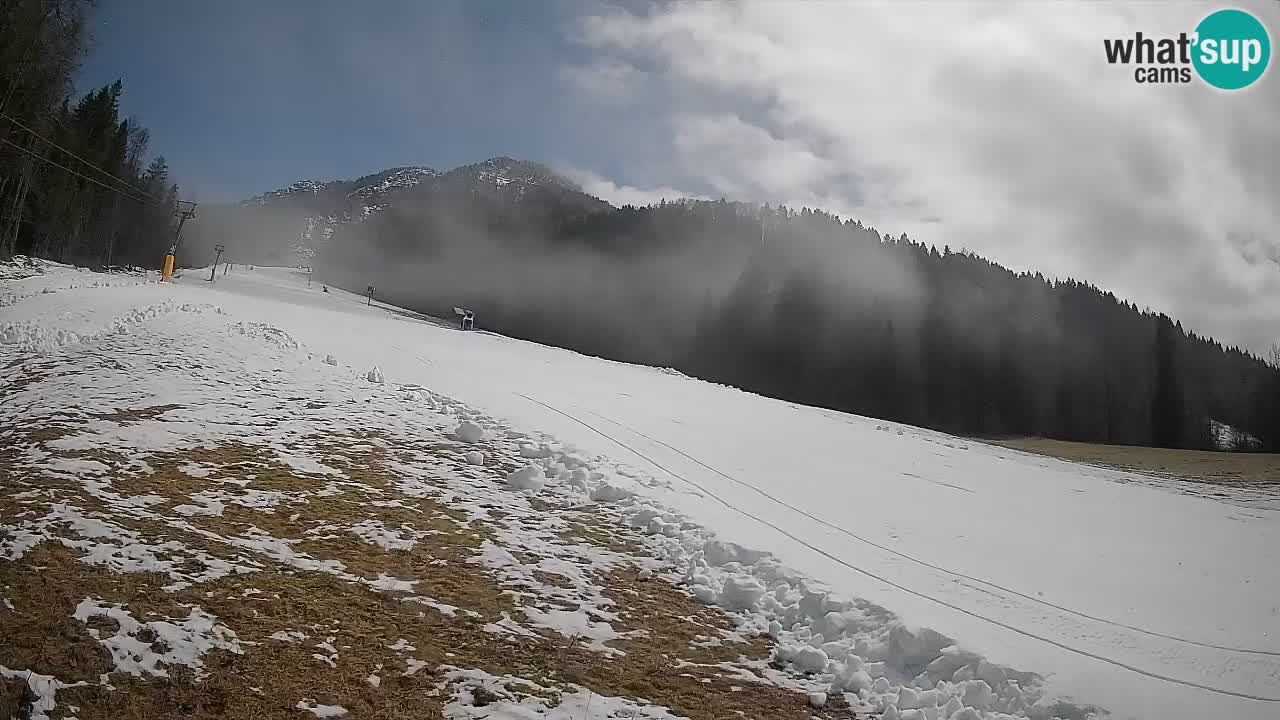 Esquí Kranjska Gora | Brsnina