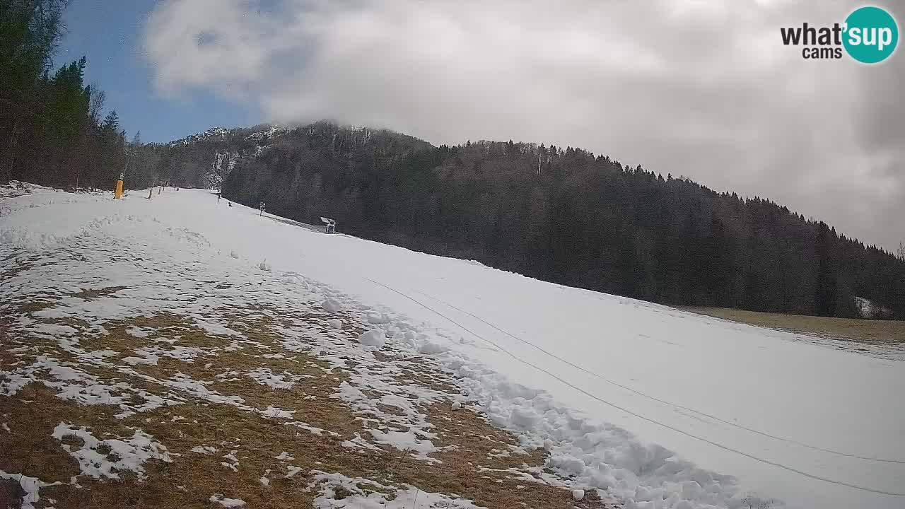 RTC Skigebiet Kranjska Gora | Brsnina