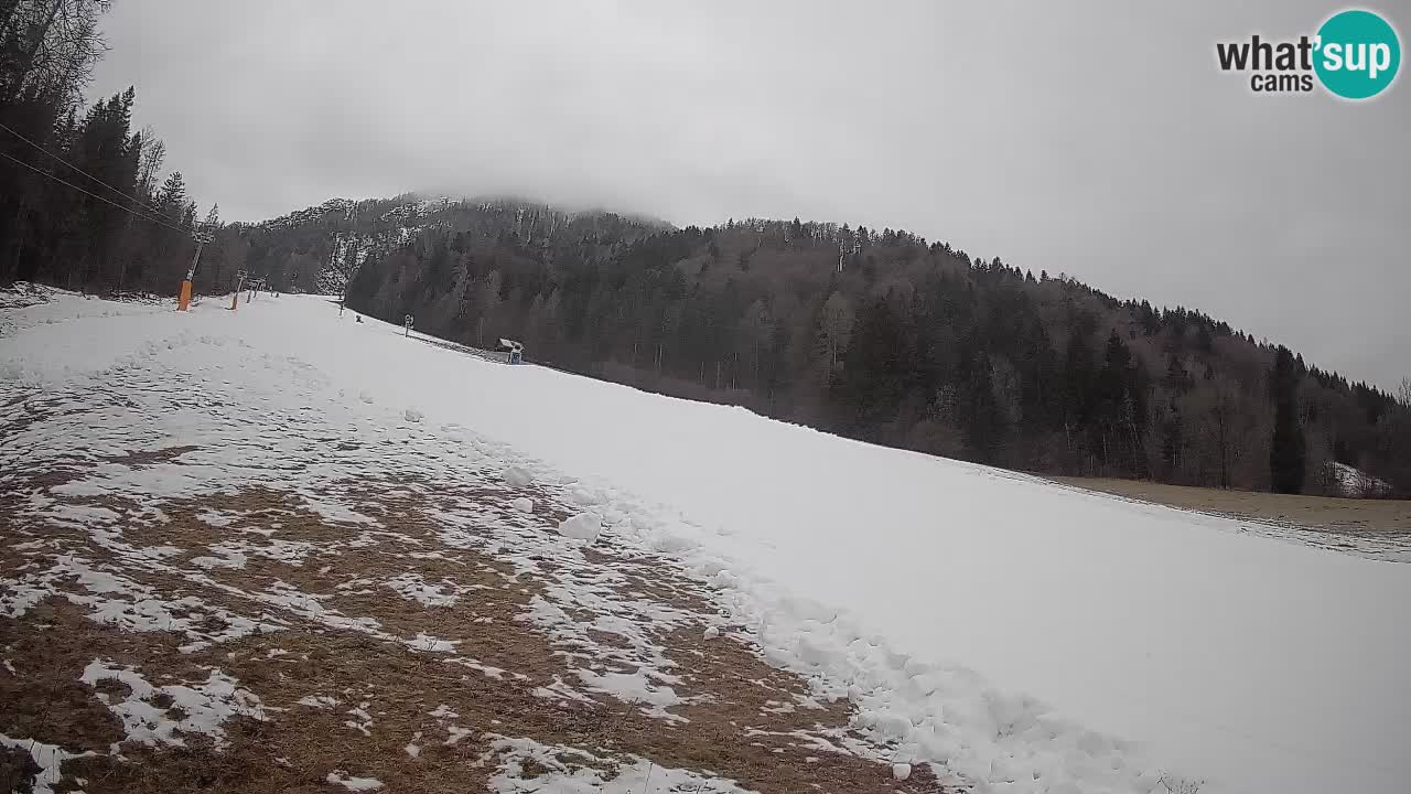 RTC Skigebiet Kranjska Gora | Brsnina